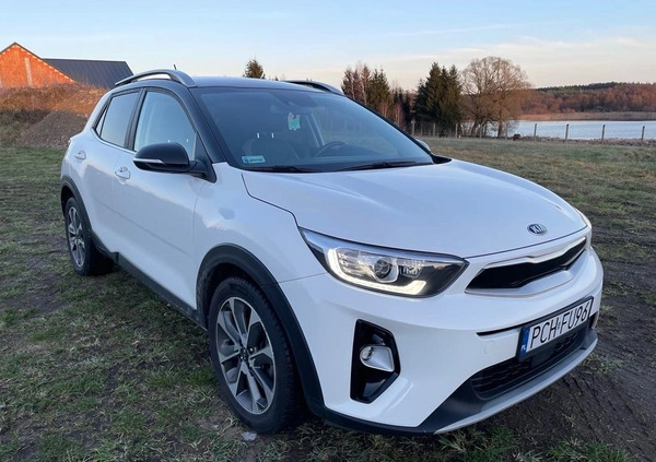 Kia Stonic cena 68900 przebieg: 34000, rok produkcji 2019 z Chodzież małe 137